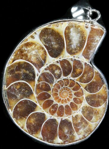 Fossil Ammonite Pendant - Million Years Old #37909